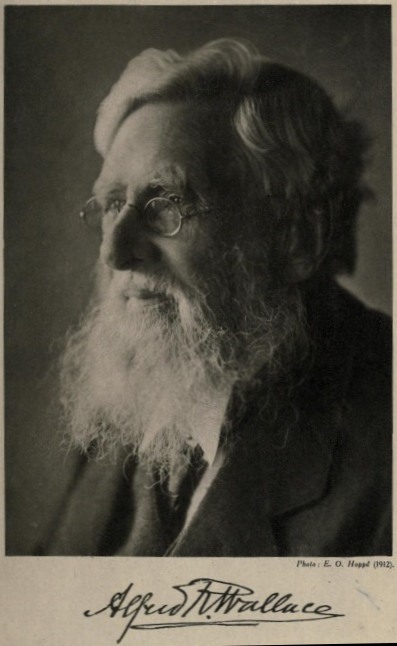 Marchant, James ed. 1916. Alfred Russel Wallace letters and