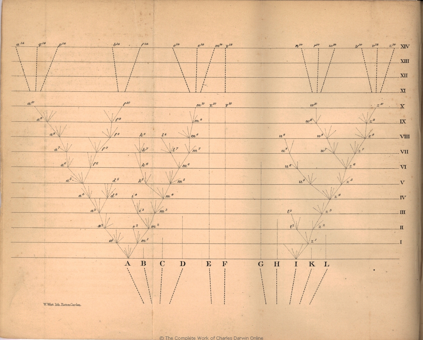 darwin published the origin of species