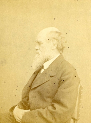 Charles Darwin in 1866