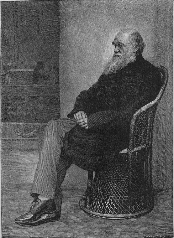 Darwin, Francis ed. 1887. The life and letters of Charles Darwin