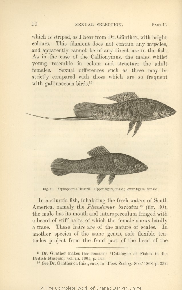 Darwin, C. R. 1871. The descent of man, and selection in relation to sex.  London: John Murray. Volume. 2. 1st edition.