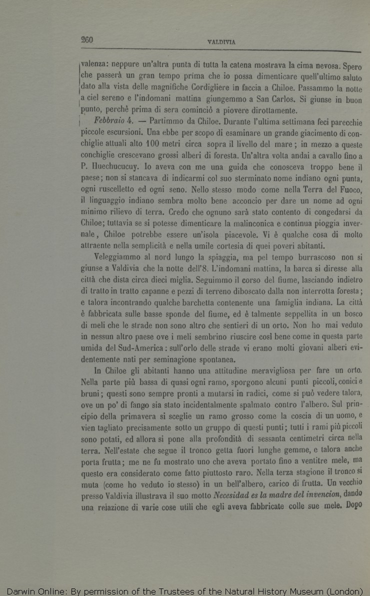 Darwin C R 1872 Viaggio Di Un Naturalista Intorno Al Mondo Translated By Michele Lessona Turin Unione