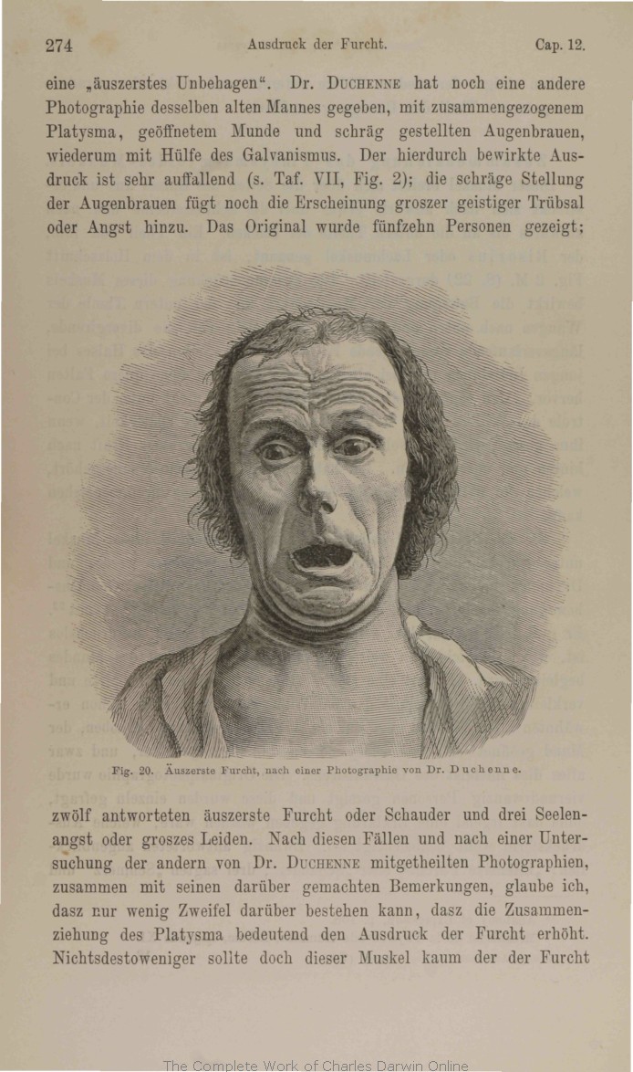 Darwin, C. R. 1877. Der Ausdruck der Gemüthsbewegungen bei dem Menschen und  den Thieren. 3rd edition Stuttgart: Schweizerbart.