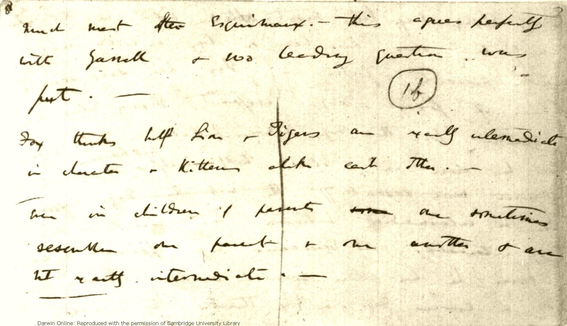 http://darwin-online.org.uk/converted/scans/manuscript%20scans/1837-9_TransmutationNotebooks/DarwinArchive_1838_NotebookD_CUL-DAR123.-_010.jpg