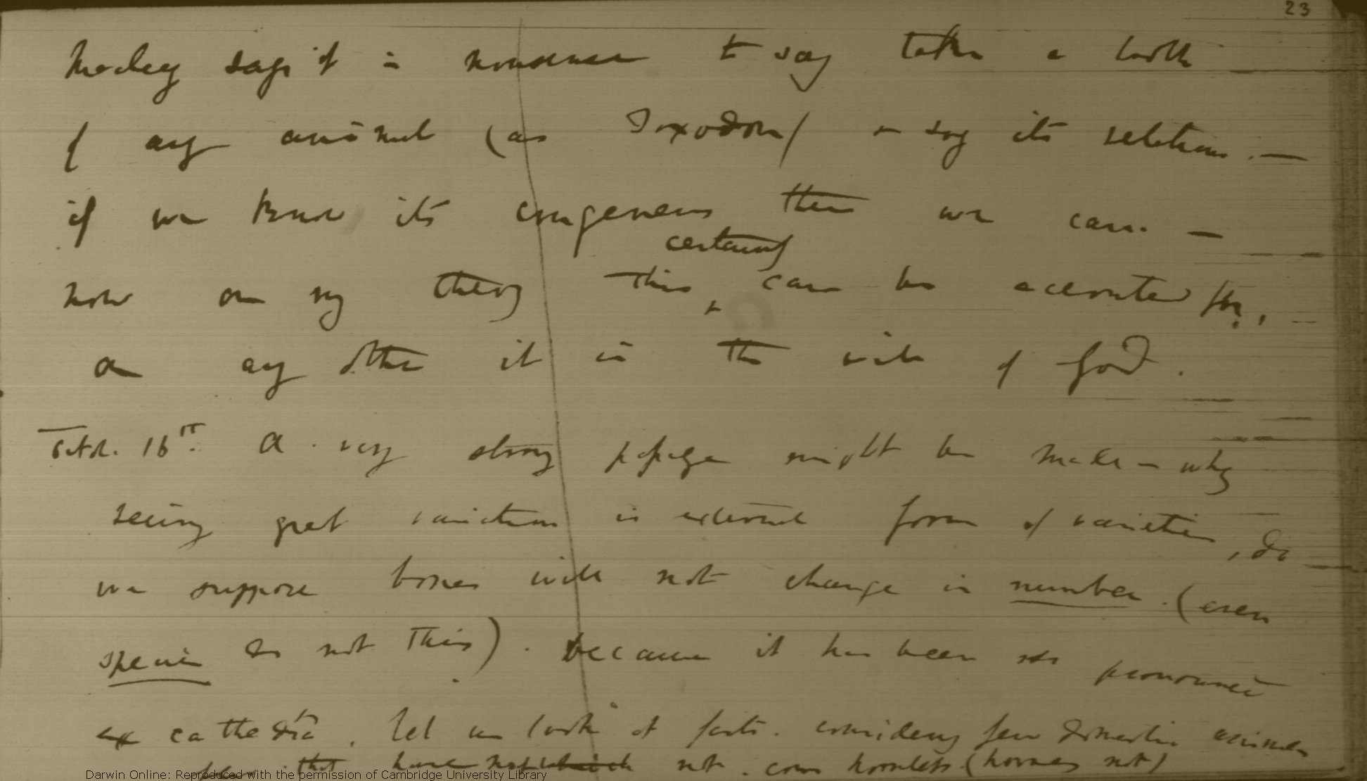 Darwin C R Notebook E Transmutation Of Species 10 18 7 19 Cul Dar124 Transcribed By Kees Rookmaaker Darwin Online Http Darwin Online Org Uk