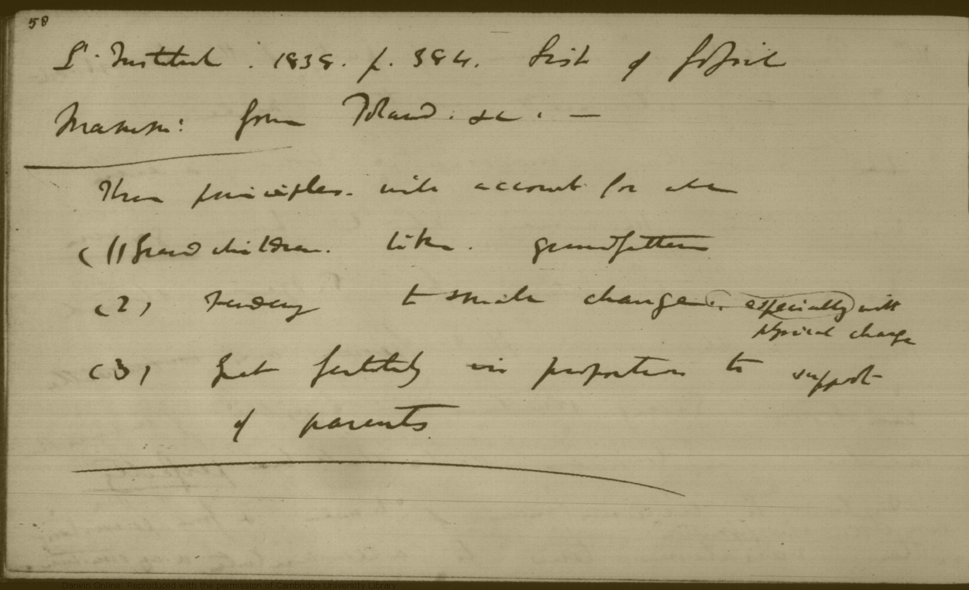 Darwin C R Notebook E Transmutation Of Species 10 18 7 19 Cul Dar124 Transcribed By Kees Rookmaaker Darwin Online Http Darwin Online Org Uk