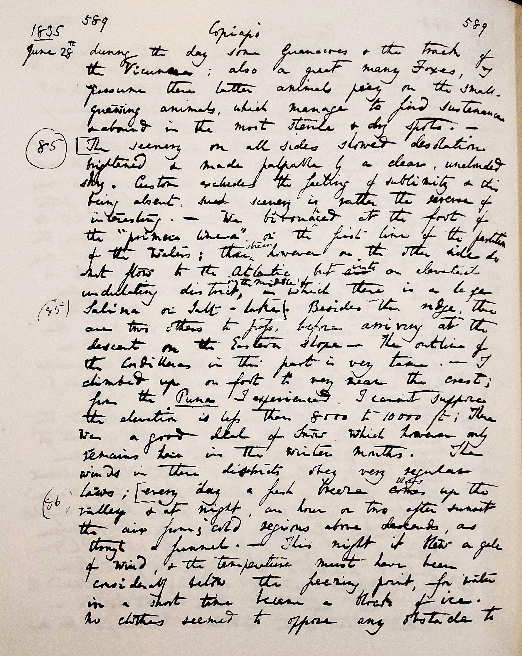 http://darwin-online.org.uk/converted/scans/manuscript%20scans/Down_House/Darwin_C_R_BeagleDiary_EH88202366_612.jpg