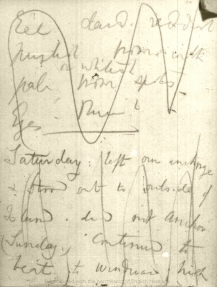 A page from the Galapagos notebook