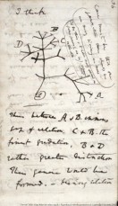 A page from Notebook B (1837)