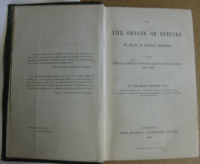 Essay on the origin of species