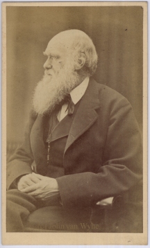 Charles Darwin in 1871