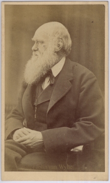 Darwin in 1871