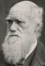 Charles Darwin in 1878