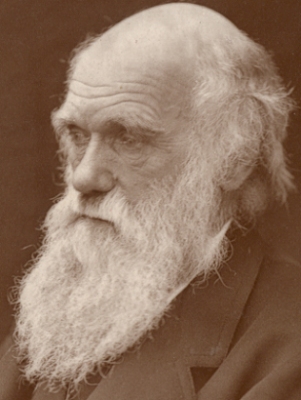 Darwin1874s.jpg