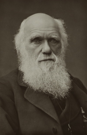 Charles Darwin in 1881