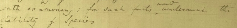 The line in Darwin's ornithological notes (1836) where he first records doubt in the 'stability of species'. 