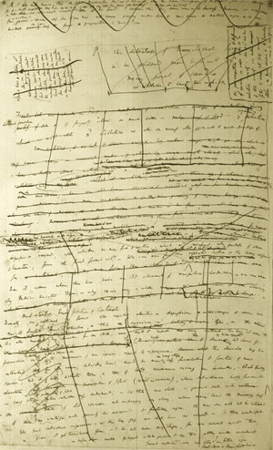 A page from the first draft of the theory of evolution (1842)