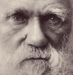 http://darwin-online.org.uk/graphics/face.jpg