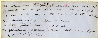 A sample Darwin manuscript