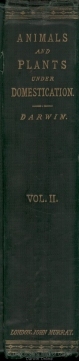 Variation vol. 2