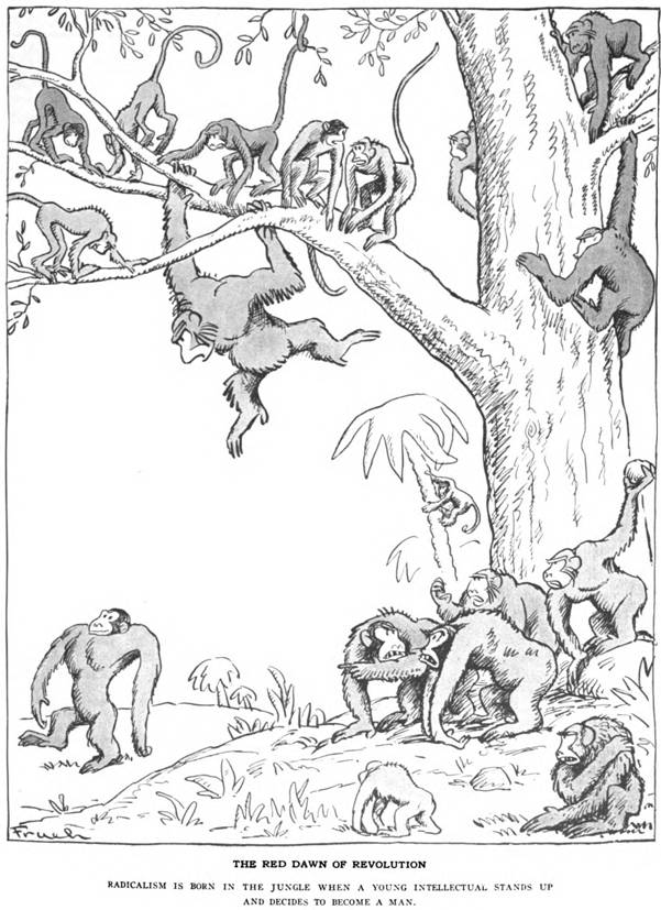 A cartoon of monkeys in a tree  