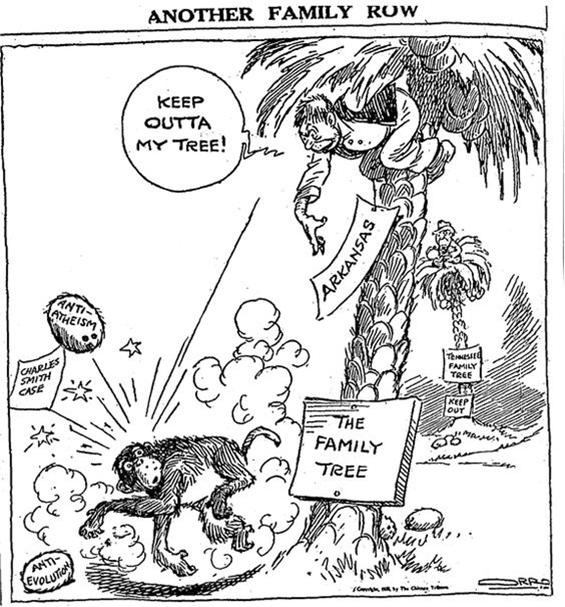 Cartoon of a monkey running away from a monkey on a palm tree  