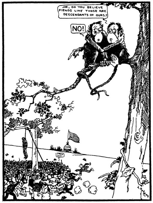 Cartoon of monkeys sitting on a tree branch with a sign on it