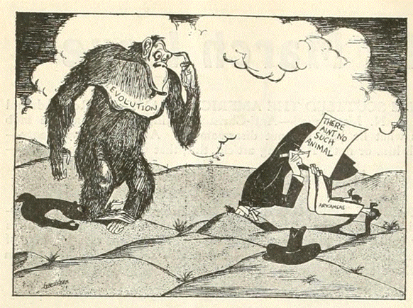 A cartoon of a gorilla with a sign on his nose  