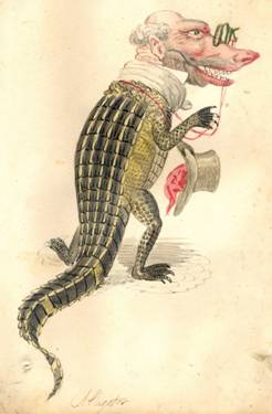 Alligator 1873