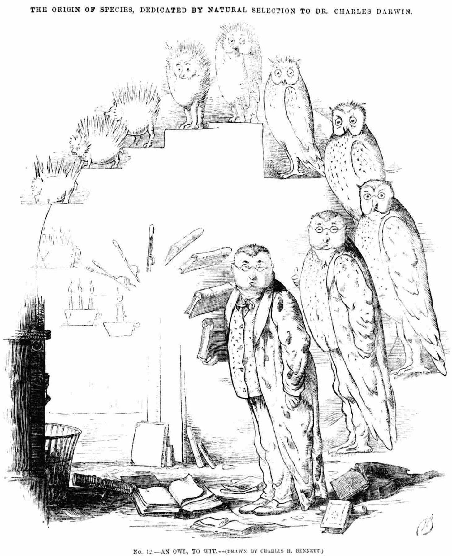 A drawing of owls and a person