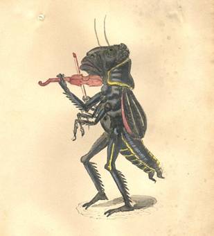 Grasshopper 1873