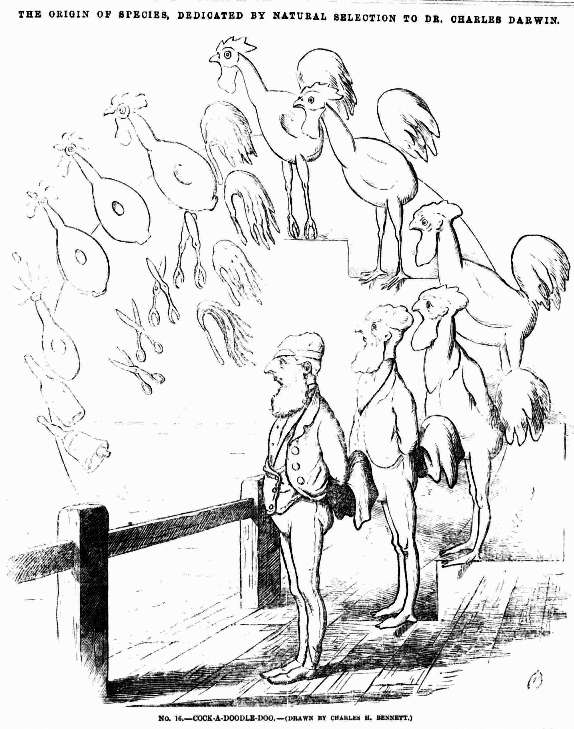 A cartoon of men standing on a deck