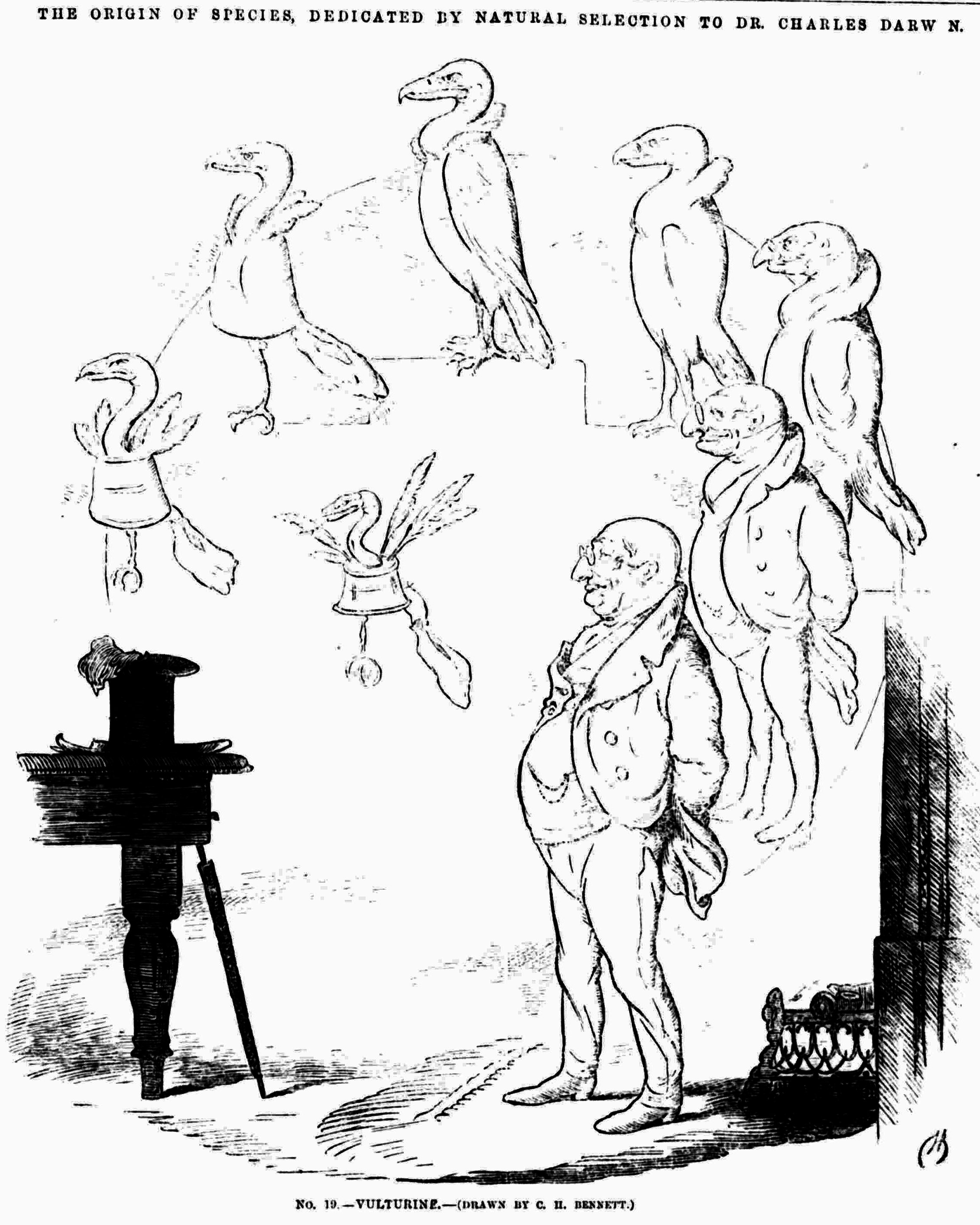 A drawing of a person standing next to birds