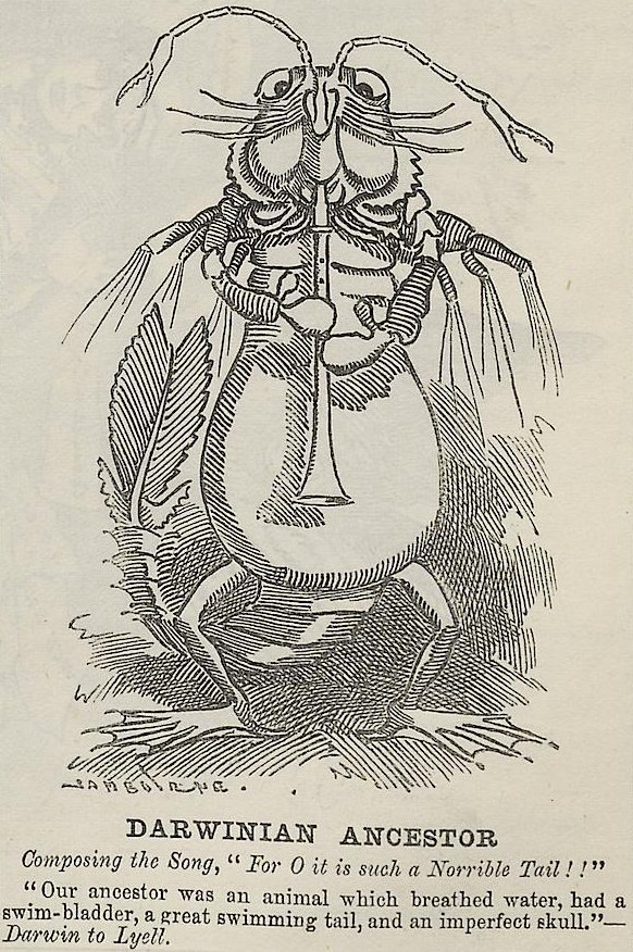 'Darwinian ancestor' 1887