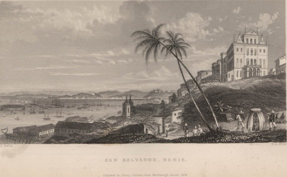 FitzRoy, R. 1839. Narrative of the surveying voyages of His Majesty's