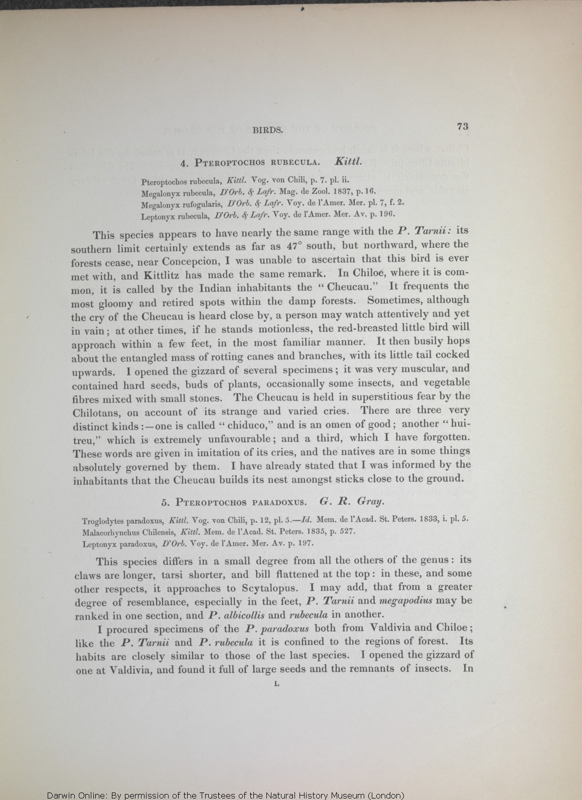 Darwin, C. R. ed. 1841. Birds Part 3 of The zoology of the voyage 