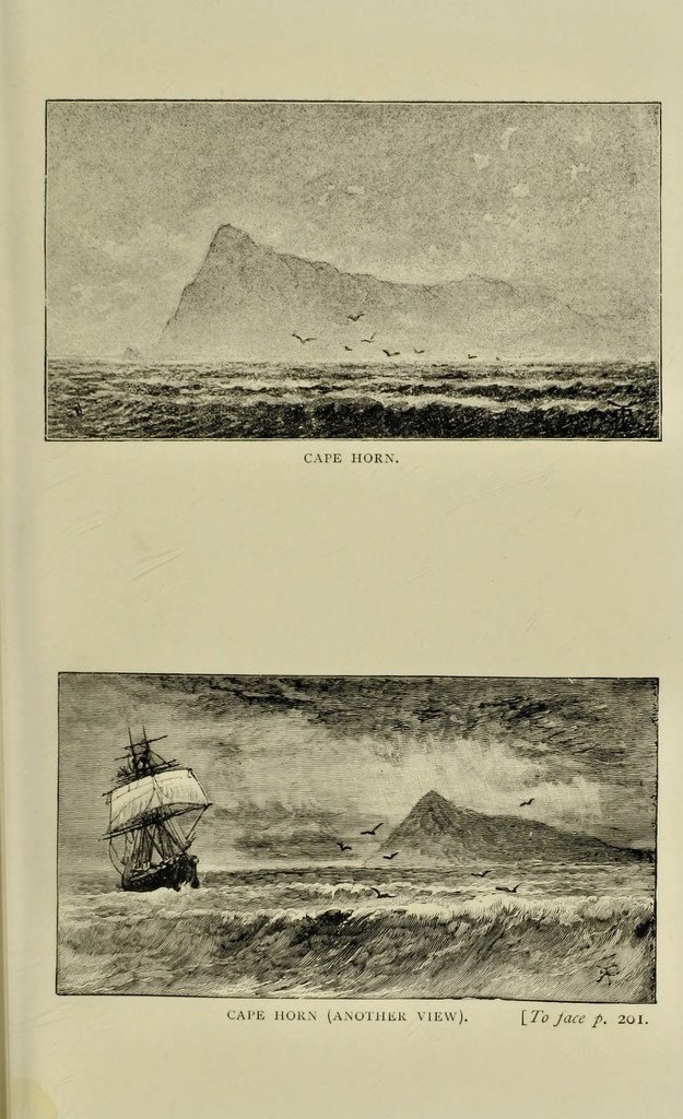 Illustration from the 'Voyage of the Beagle'