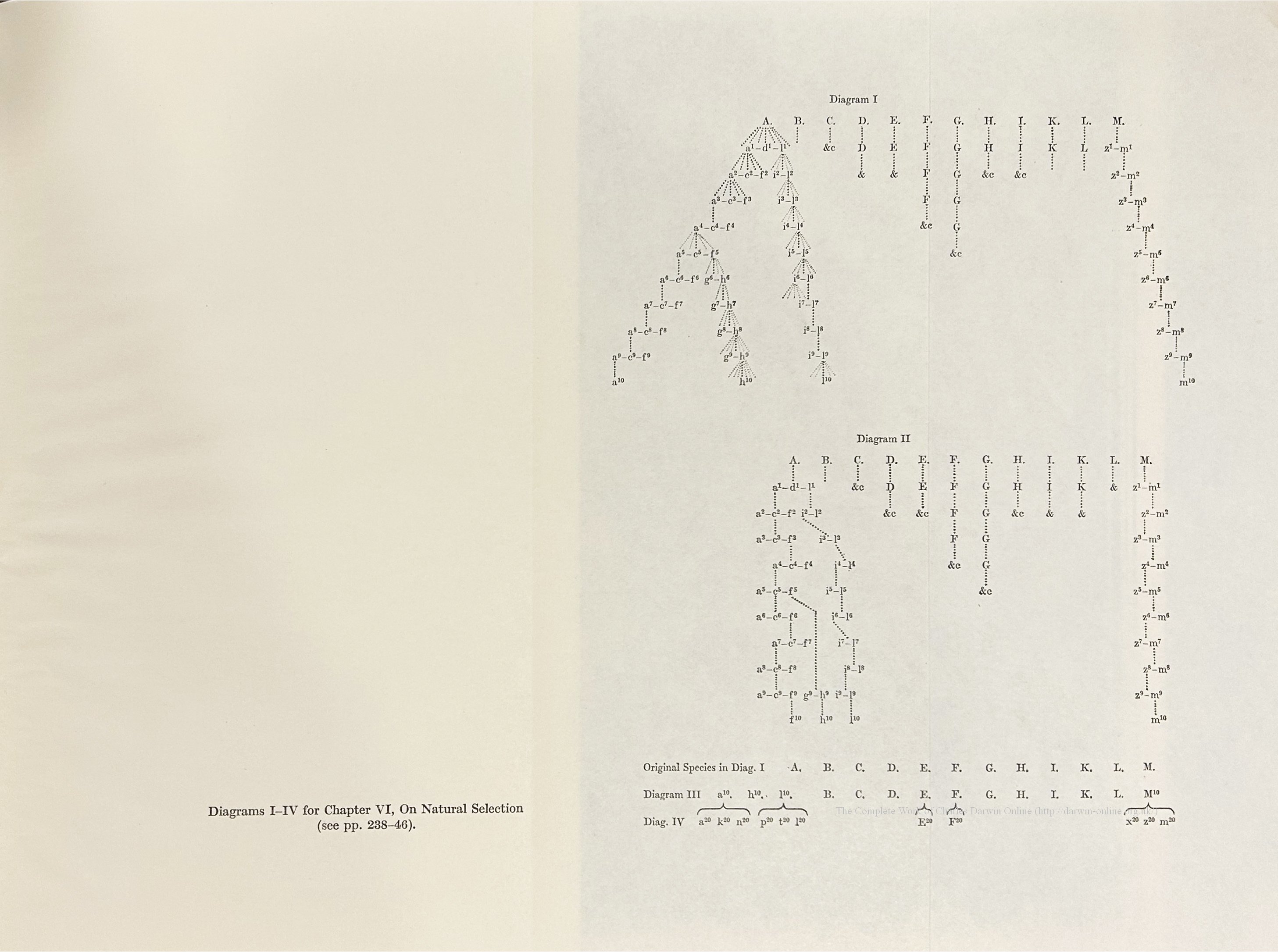 Stauffer, R. C. ed. 1975. Charles Darwin&rsquo;s Natural Selection 