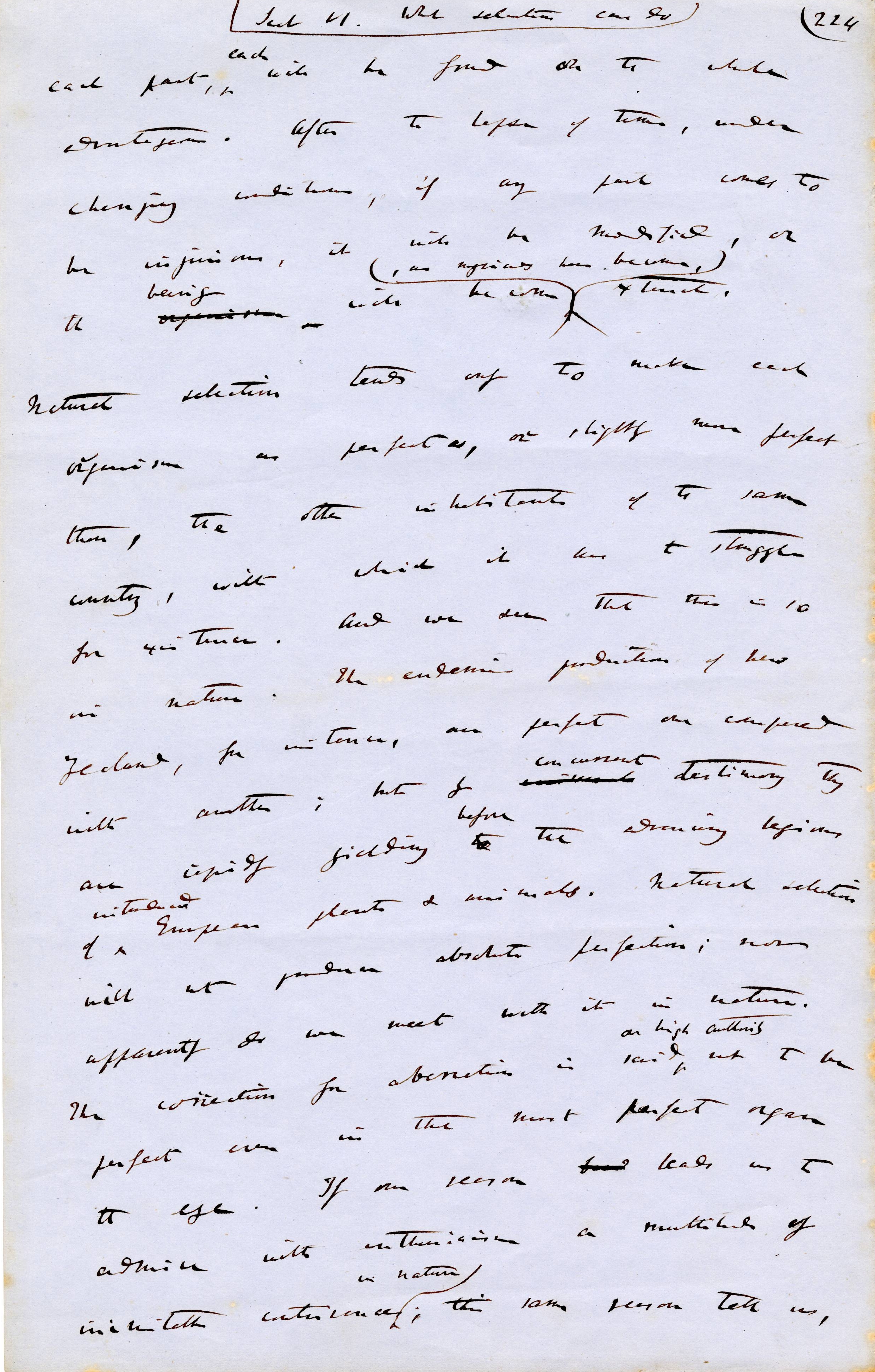 Drafts of Origin of Species