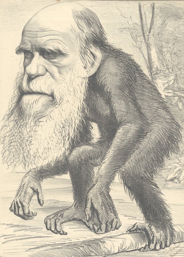 Darwin in The Hornet- 1871