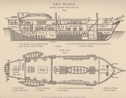 King's sketch of the Beagle