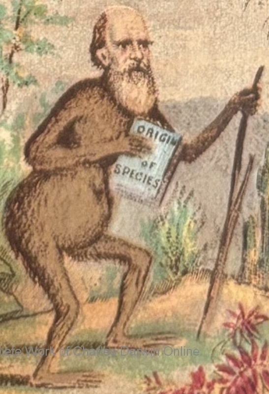 Previously unknown caricature of Darwin in 1873