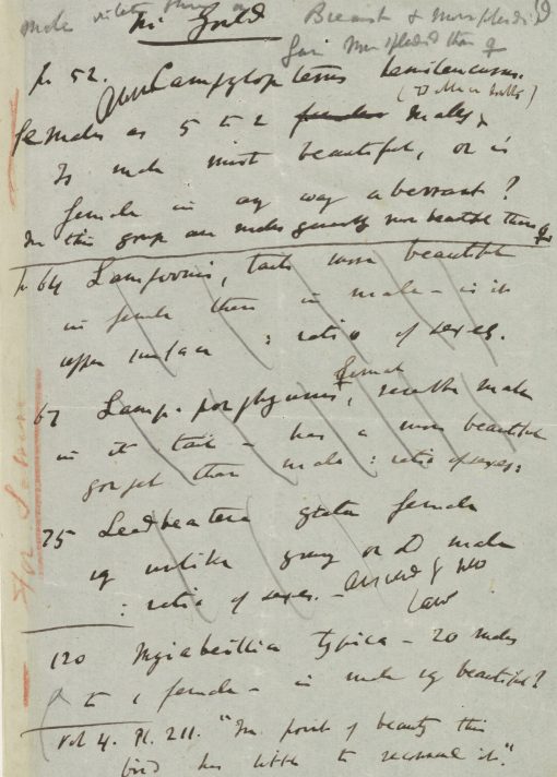 Notes on sexual selection
