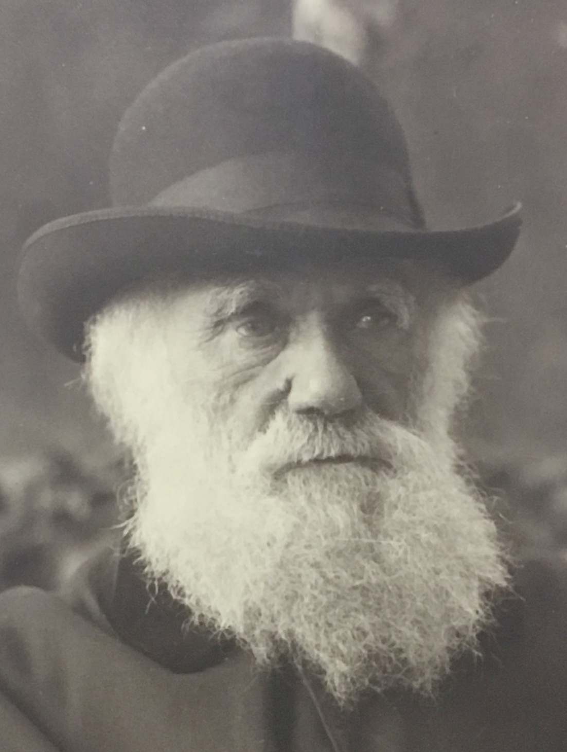 Darwin in 1881