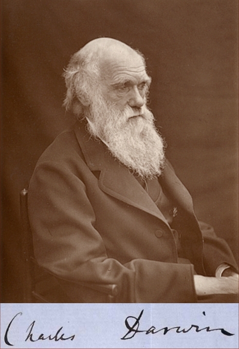 Darwin in 1878