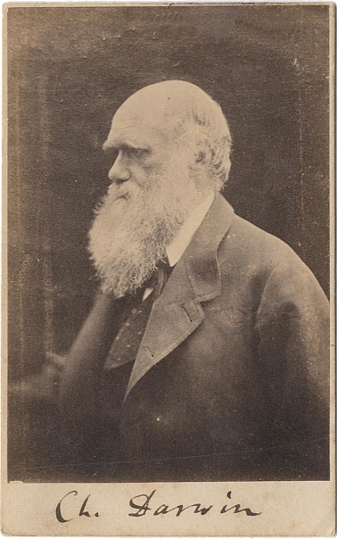 Darwin in 1878