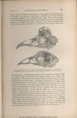 Overview of illustrations in Variation under Domestication: Darwin Online